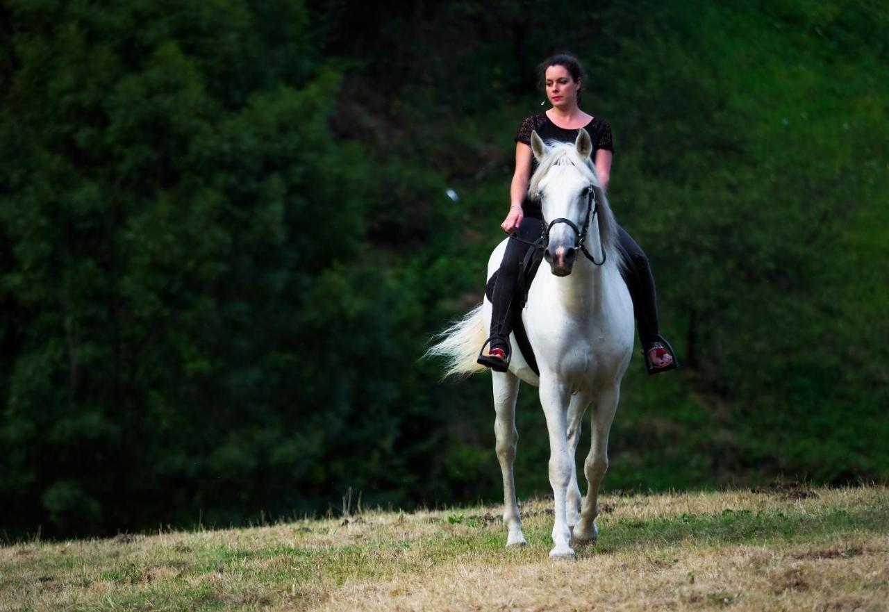 Hotel Rural Las Montanas De Pumar Besullo Εξωτερικό φωτογραφία