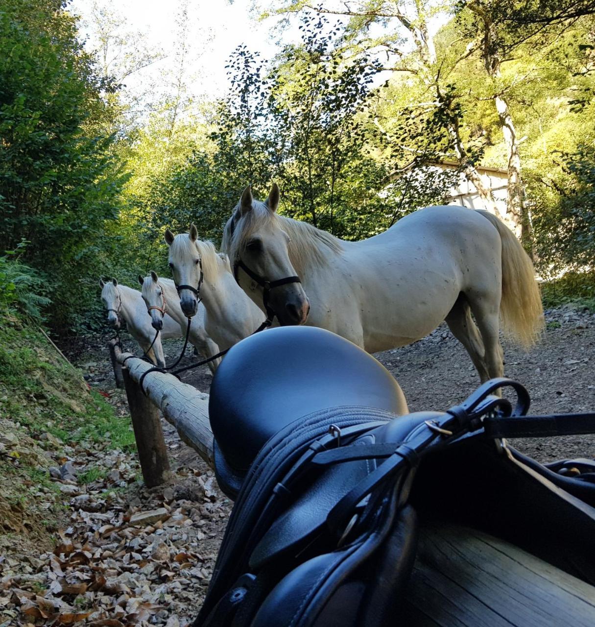 Hotel Rural Las Montanas De Pumar Besullo Εξωτερικό φωτογραφία